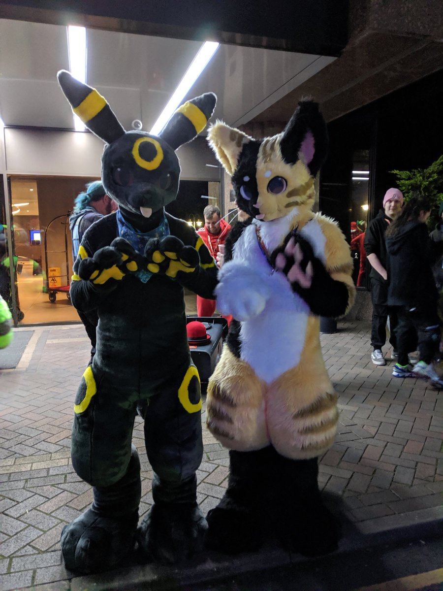 Adorable umbreon and kitty~ #confuzzled #CFz24
