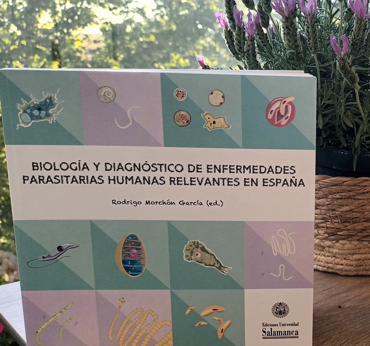 RaulRivasG's tweet photo. ¿Quieres aprender un montón de cosas sobre algunos de los #parásitos más relevantes en España? pues échale un vistazo a este estupendo libro coordinado por @RodrigoMorchon y editado por @edicionesusal @usal 🤩 https://t.co/lArAViS3WQ