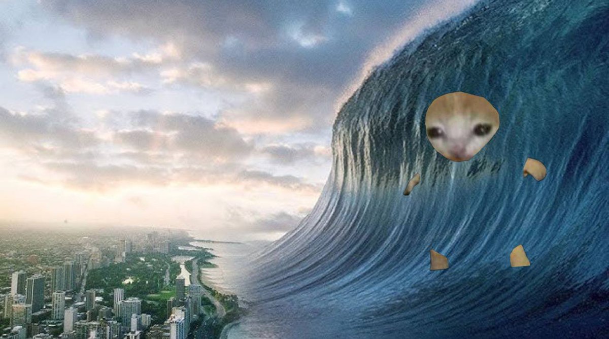 KengOvSol tweet media