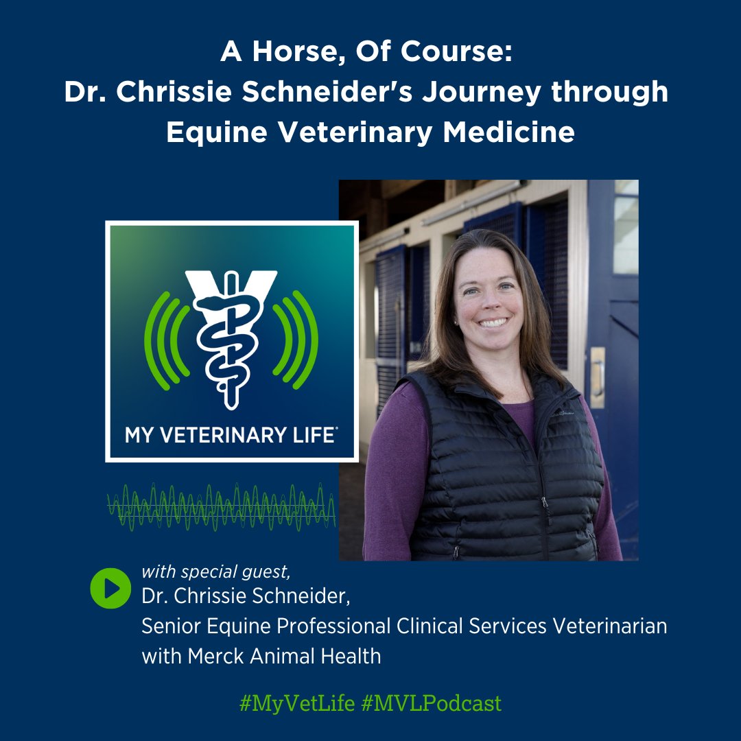AVMAvets's tweet photo. Dr. Chrissie Schneider shares her transition from an equine medicine internship to her residency at Ohio State and then her transition to industry as a Senior Equine Professional Clinical Services Veterinarian with Merck Animal Health. Listen here: https://t.co/jeFAGPKMys https://t.co/3HnVmPF2ri