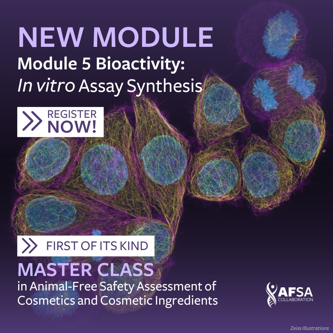 AFSAcollab's tweet image. 📢 Our latest #AFSAMasterClass module, &quot;Bioactivity: In vitro Assay Synthesis &quot; is now live!

Learn the types of in vitro tools used to generate data &amp;amp; how the data can be combined to characterize a chemical’s biological activity. ⚗️

Register for free! afsacollaboration.org/masterclass