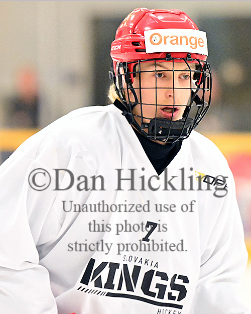 New pics of Slovakia Kings '10s now up on their @eliteprospects pages ... Also coming to select @_Neutral_Zone pages ... from @SuperSeries_HKY Kings of Spring - Nashville ... Check 'em out! @mhick1953