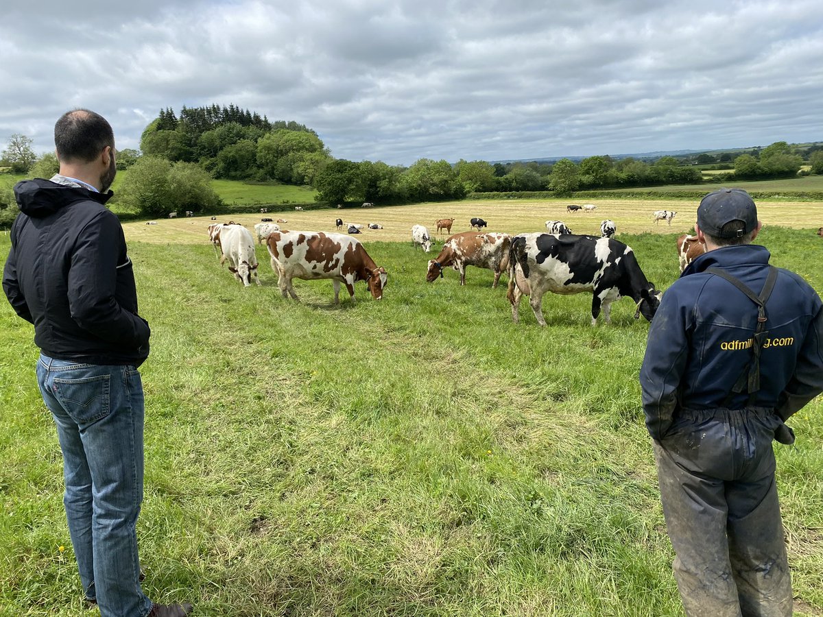 Pete Ledbury tweet media