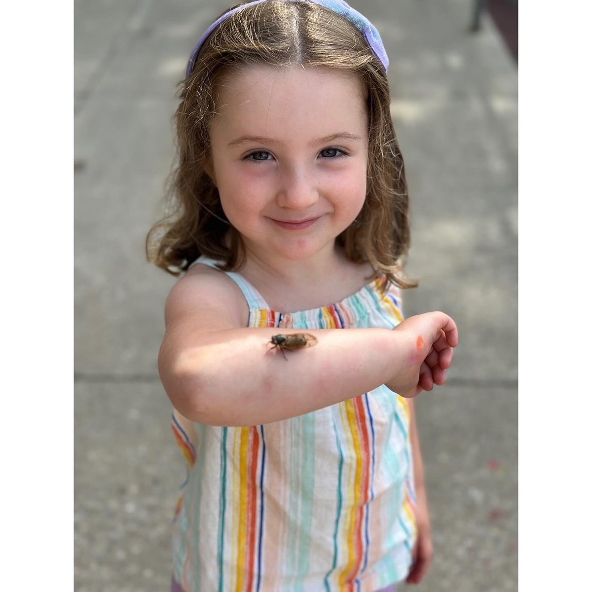 Stock Preschool- CPS Early Childhood Center tweet media