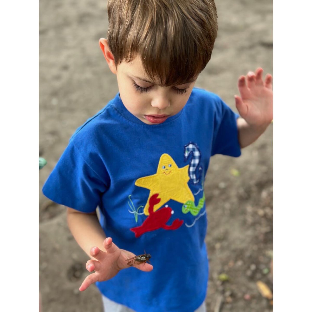 Stock Preschool- CPS Early Childhood Center tweet media