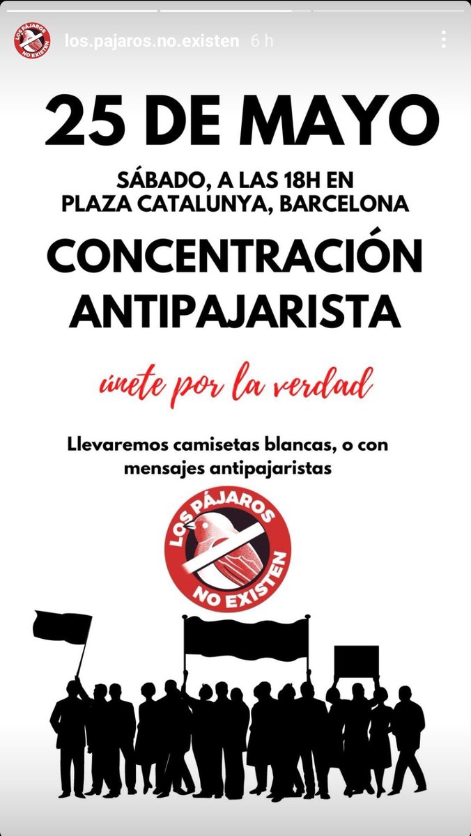 Rulo de viaje tweet media