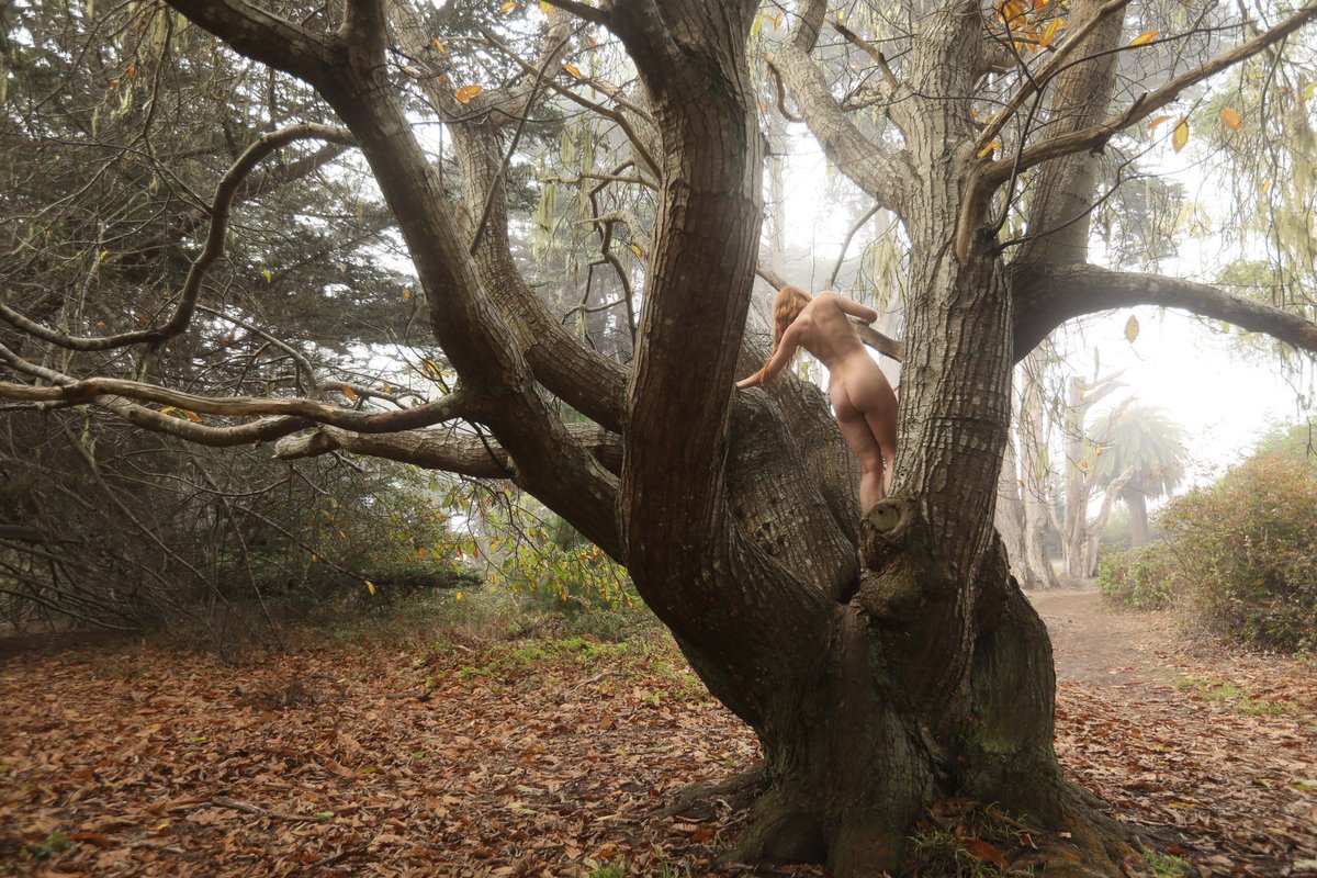 allshivaart's tweet photo. Explore more, explore your surroundings, explore your soul ~
Inframe: @astridkallsen 
📷 @allshivaart https://t.co/pgNsEzNw8M
