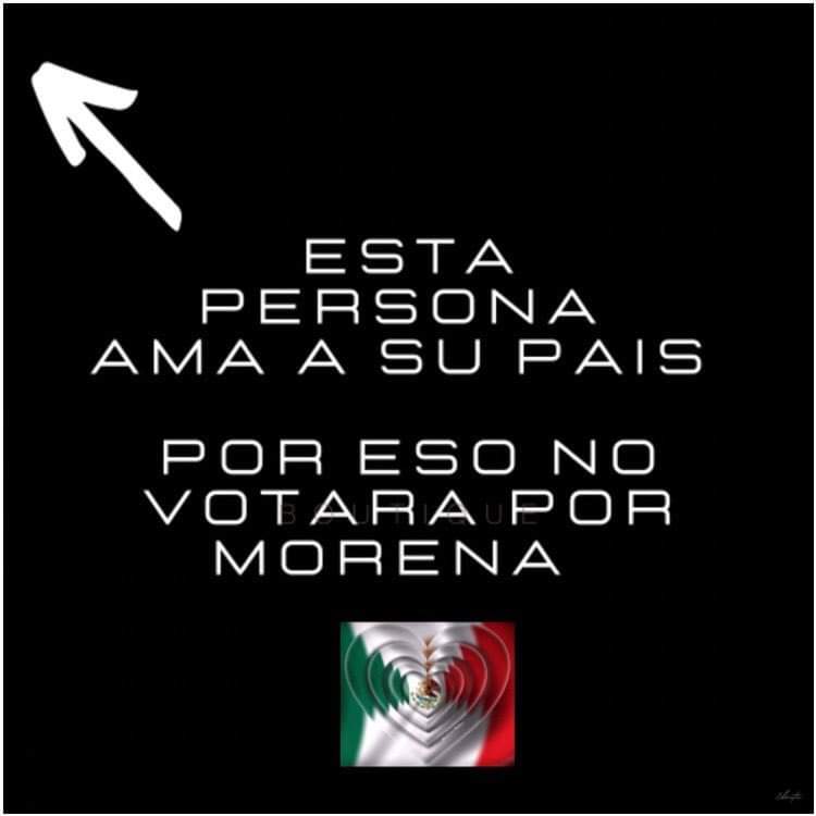 Excelente día Amigos Xtwiteros del mundo mundial 😁 

Ya chasrpm el kks  ???

El viejo guango ogt olor a miados pedorro ya apesta a cloaca  !!!

Ya se van  ALV los Morenarcos ratas  !!

#XochitlPresidente2024