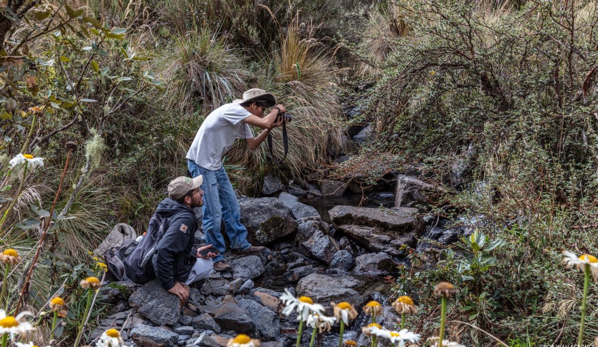 For the 3rd year in a row, La Paz, Bolivia, has won the #CityNatureChallenge. The friendly citizen science competition measures highest number of wildlife observations, species diversity, and participant engagement. WCS Bolivia was a key supporter. bit.ly/4dVCMW4