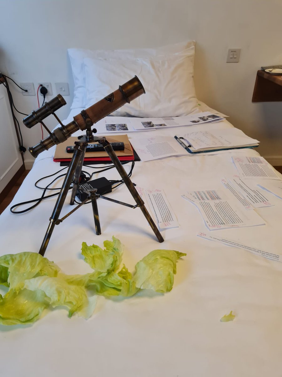 jo3grace's tweet image. Today&apos;s writers retreat (came with it&apos;s own telescope) #writingup #phdlife #discussionchapter #phdchat #phdvoice #phdplace @SouthCoastDTP @CRI_UoS @UoSDocCollege #autisticsinacademia #thesis #thesiswriting (I supplied the lettuce)