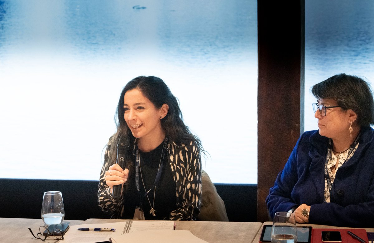 Sernageomin tweet media