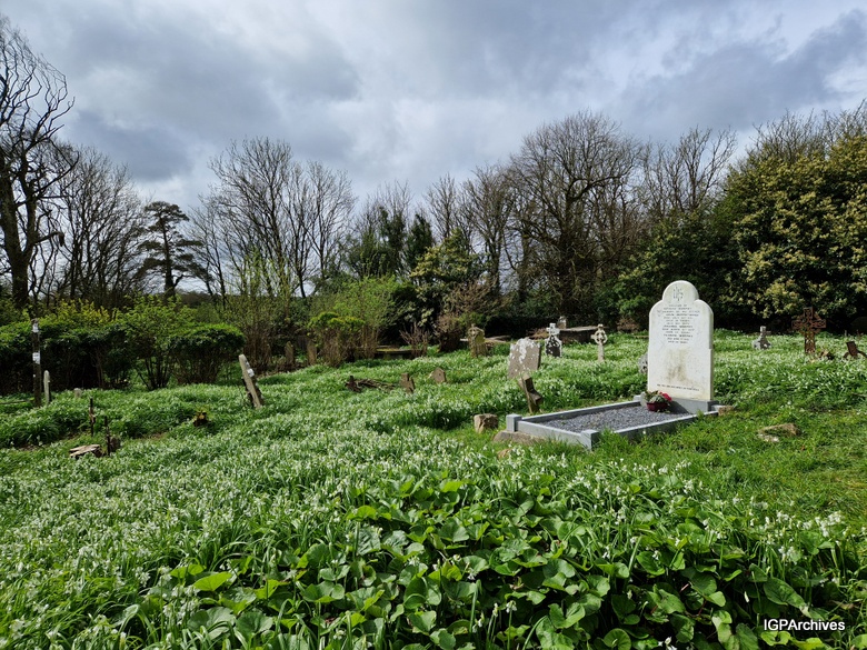 We have added a bunch of new photos for Rathaspick graveyard in Co. Wexford. Check them out! There are some old families buried here 🔽
bit.ly/44YmUxU