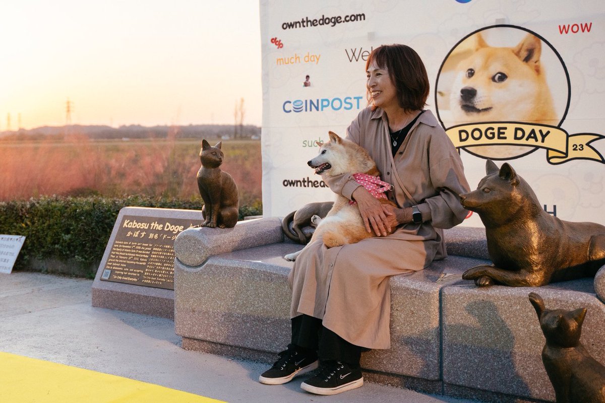 ThuanCapital tweet media