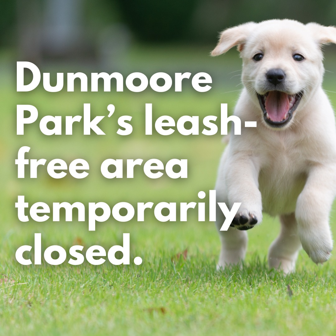 Thank you for your continued patience as we work to address the ongoing drainage issues at Dunmoore Park. From May 23 to May 30, the large leash-free area will be fully closed while repair work is completed. Stay tuned for updates! #ConversationsInTheCommunity