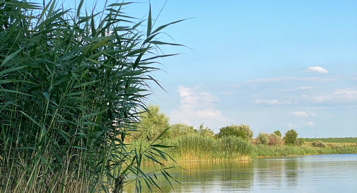 UNBiodiversity's tweet photo. Discover how the financial sector can benefit #biodiversity through concrete actions, such as:
✅ Advocating for a robust #post2020 framework
✅ Setting targets & reporting publicly (#TNFD)
✅ And more!
Read the CBD's guide for the financial sector:
https://t.co/U8K01Z8dg2 https://t.co/1n8rQZcbpU