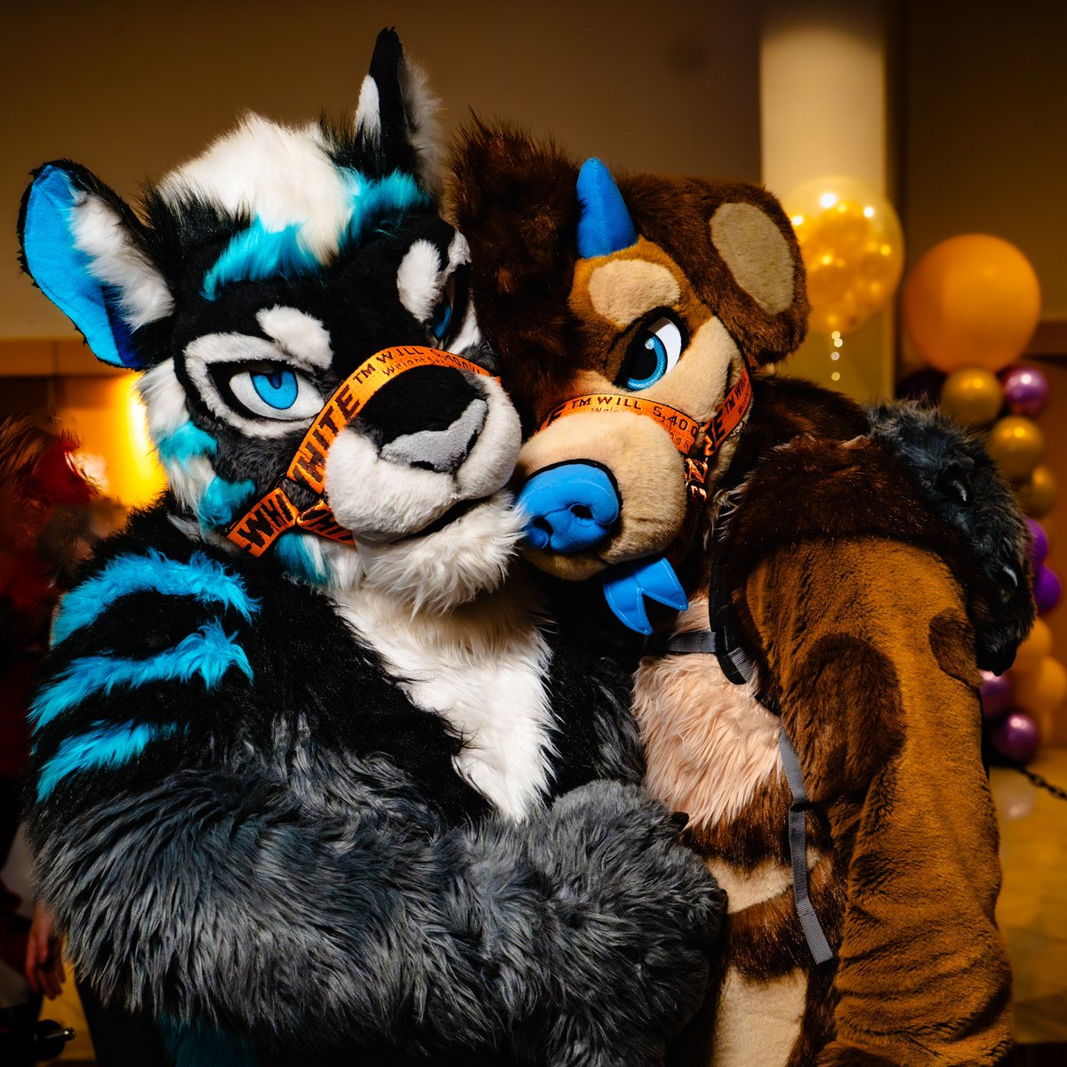 They just wanna say hello on #FursuitFriday