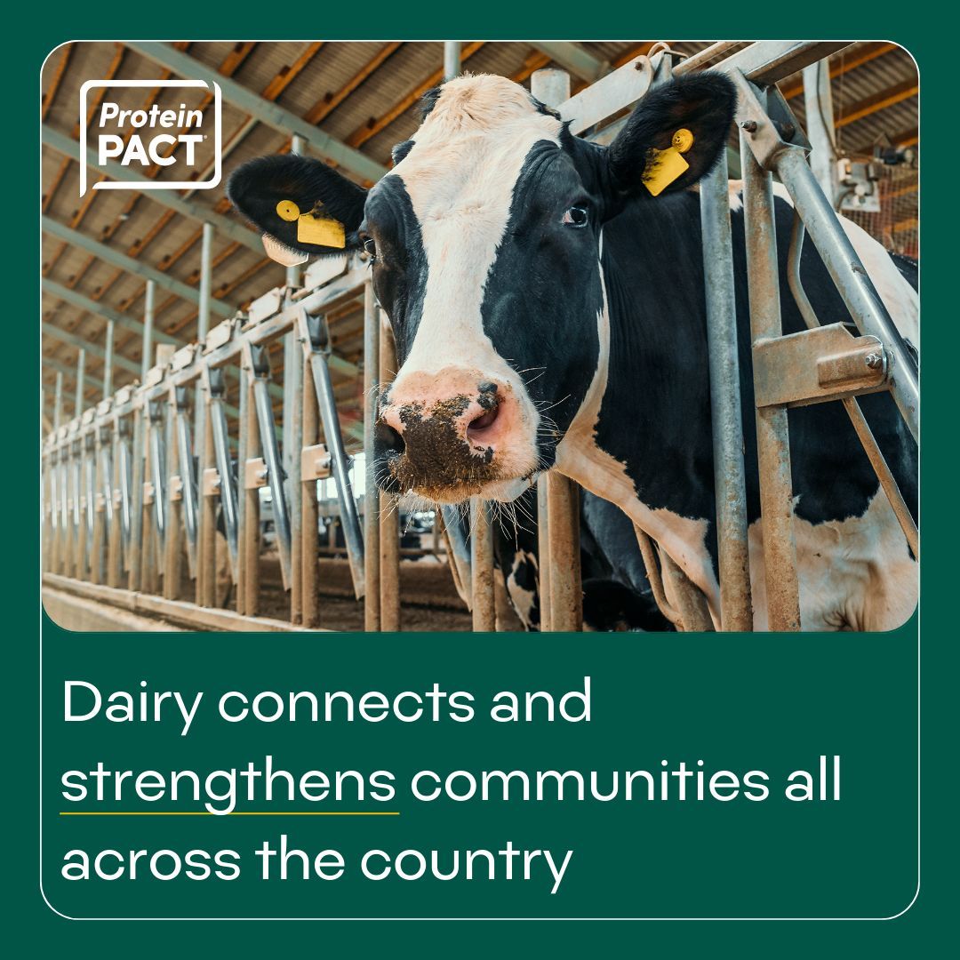 Dairy production doesn’t just help the planet -- it helps develop strong, thriving communities. See how dairy connects and strengthens communities all across the country: buff.ly/3Ao7DIc