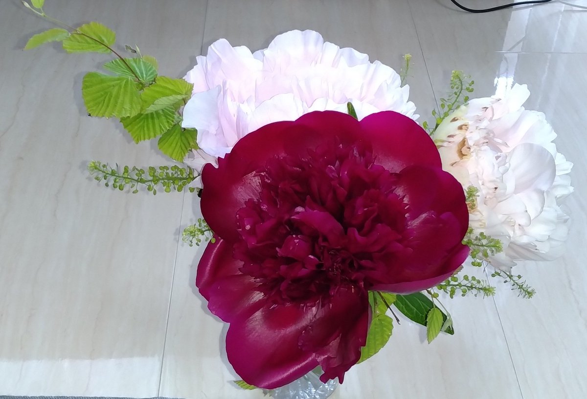 学生®前衛的投資家(兼業) (@akarabu99) / Posts / X