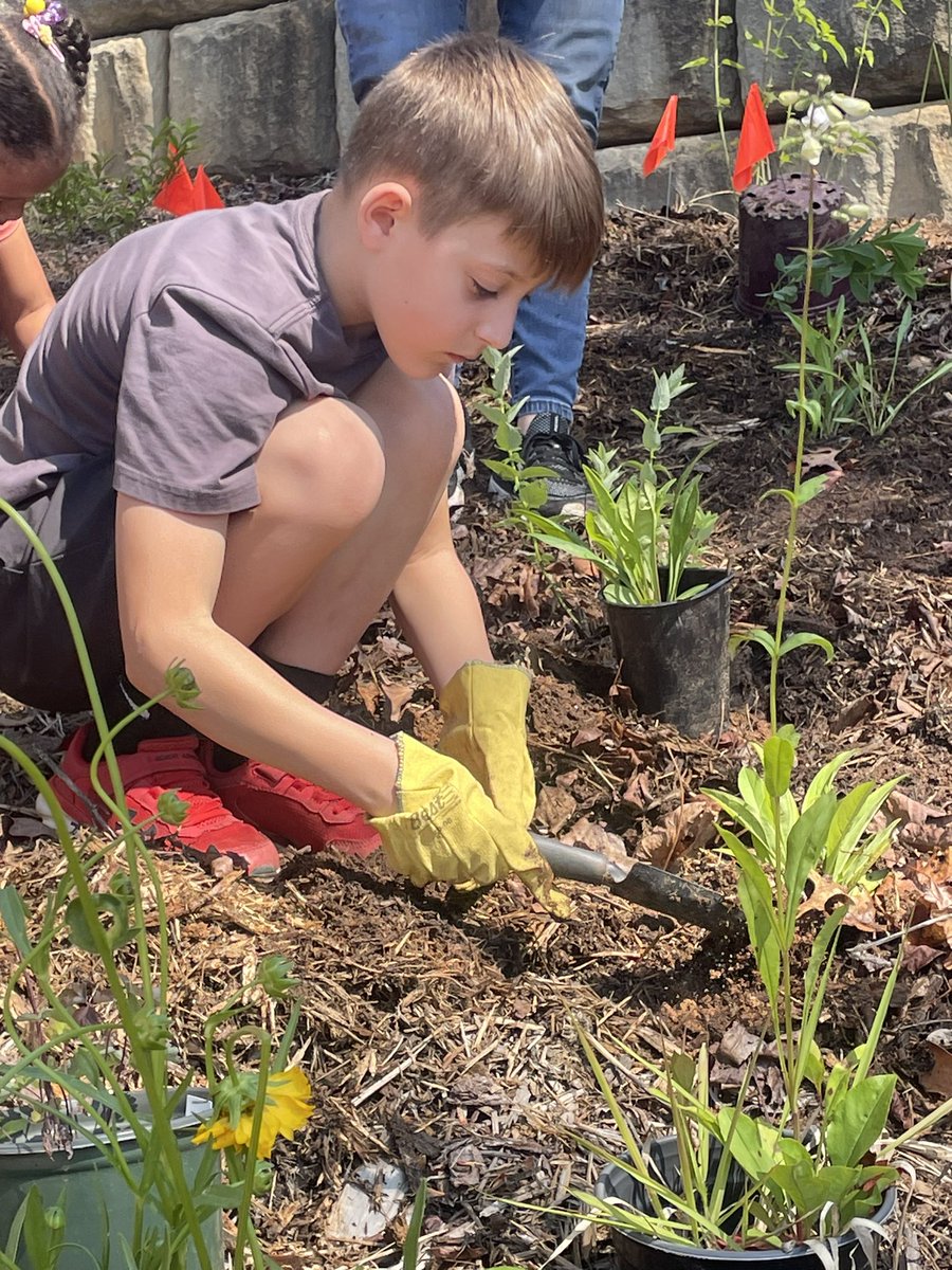 Ellis04Katie's tweet photo. We are lucky to get to work with Bryan Tompkins at @USFWSSoutheast to help us transform our empty spaces into vibrant sanctuaries for pollinators. This was a great hands on experience that teaches our students about environmental stewardship. Im thankful for this partnership! https://t.co/0xGe41oLQF
