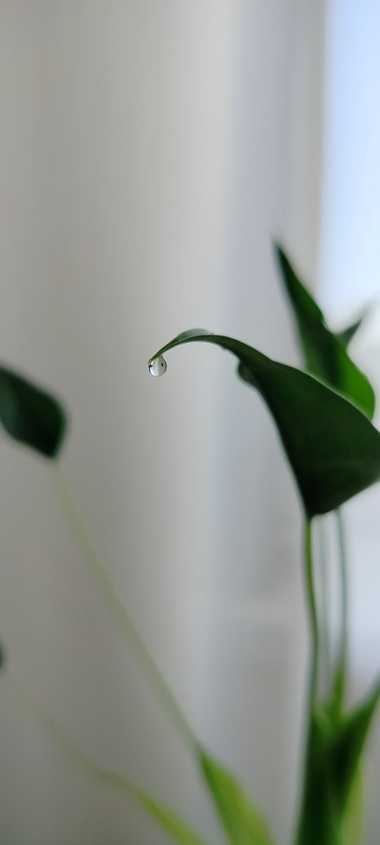 Life is what happens to you while you're busy making other plans.
John Lennon