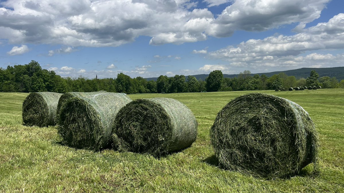 anson_ag's tweet image. Off to a fast start. The weather is cooperating to get those early crops in. Lots of harvesting and planting happening this week. Hope it’s stays with us all summer. #haying #forage #corn #agriculture #fingerscrossed