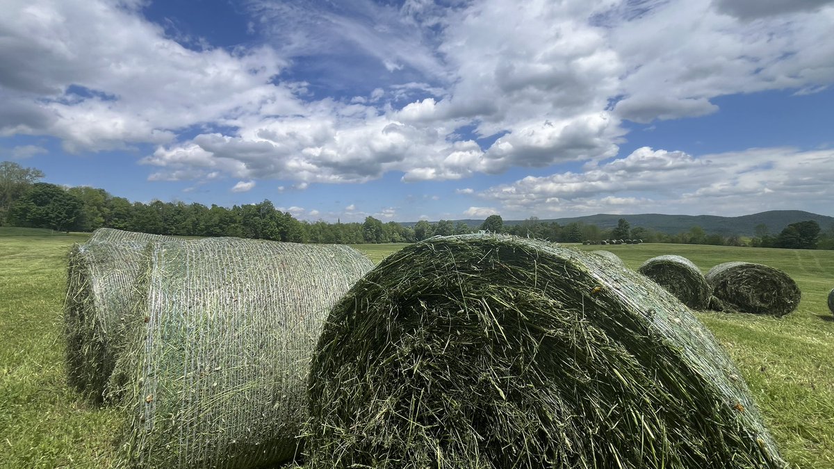 anson_ag's tweet image. Off to a fast start. The weather is cooperating to get those early crops in. Lots of harvesting and planting happening this week. Hope it’s stays with us all summer. #haying #forage #corn #agriculture #fingerscrossed