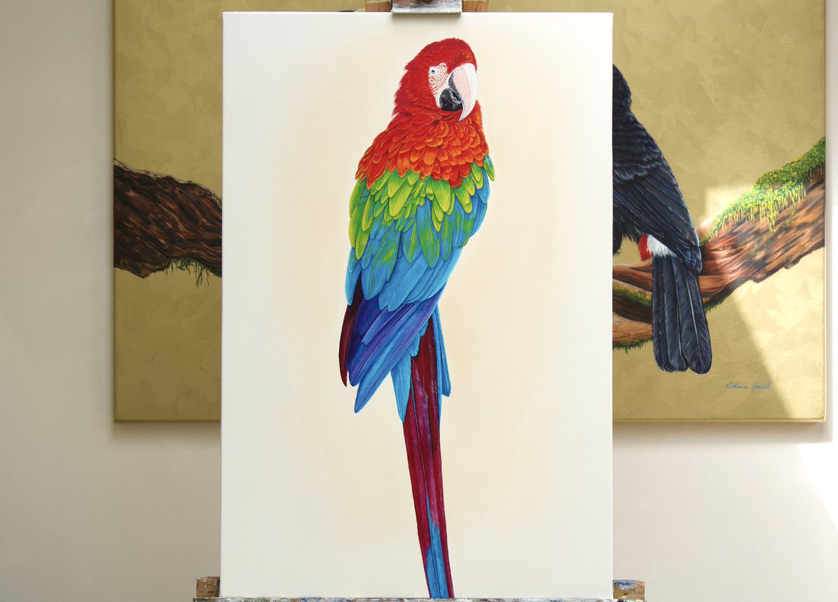 New painting just finished 🦜 
Red and Green Macaw. 40 x 60cm. Oils on canvas 
victoriaheald.com