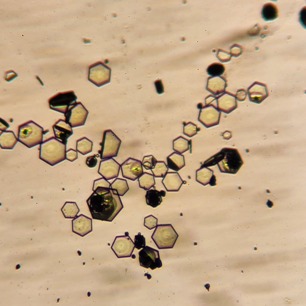 doctor_T_Rex's tweet photo. A perfect #Crystals Friday.
#MOFs https://t.co/JOn4cLbxij