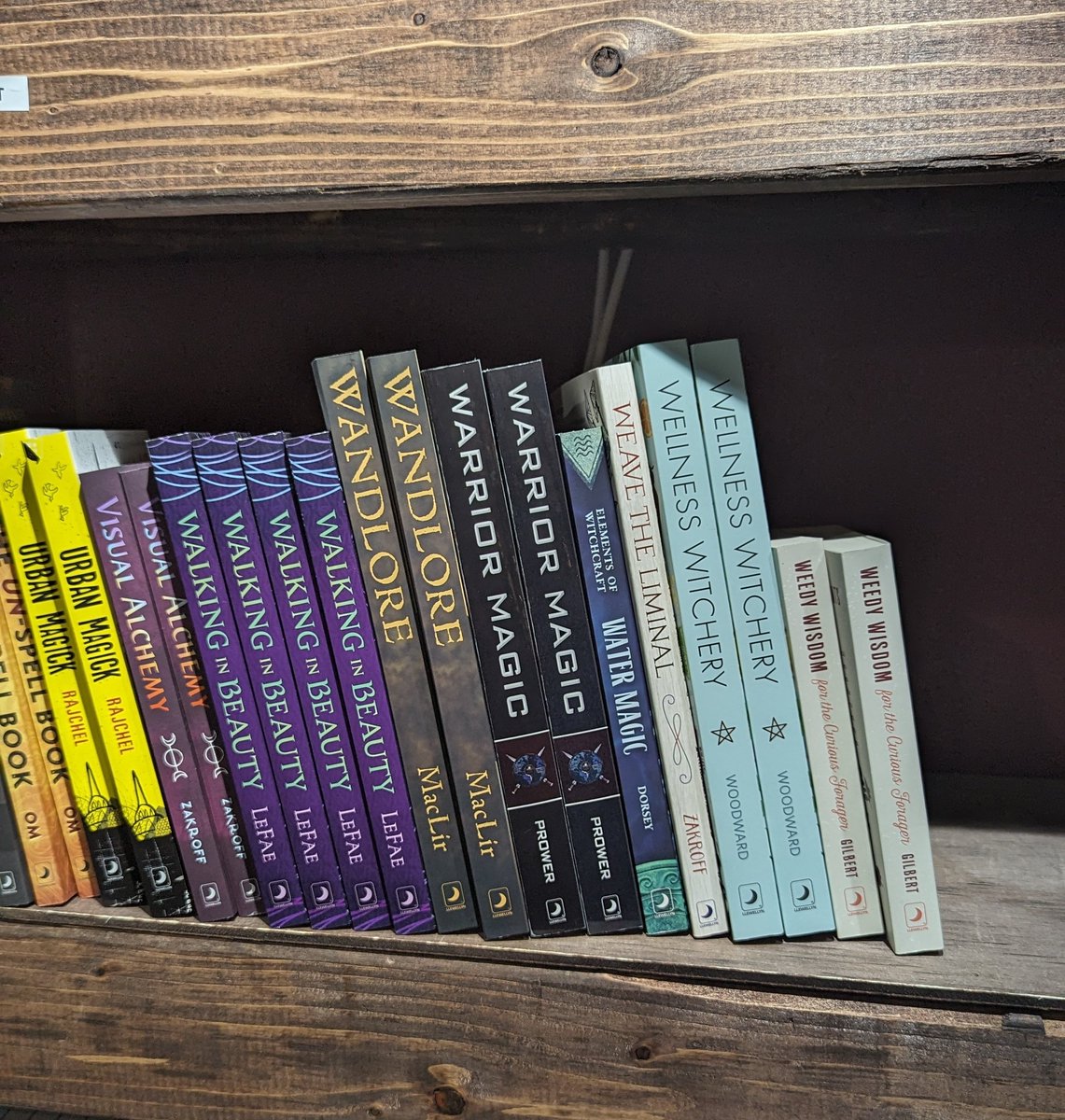 Books for Witches at EARTHBOUND METAPHYSICAL SHOPPE in Syracuse, NY. ✨ @VincentHigginb2 ✨ @MharaStarling ✨ @ladyzoe2dots ✨ @deborahblake ✨ @LTempestZ ✨ @diana_rajchel ✨ @TomasPrower ✨ @LilithDorsey ✨ @LlewellynBooks ✨ #Witchcraft #Books