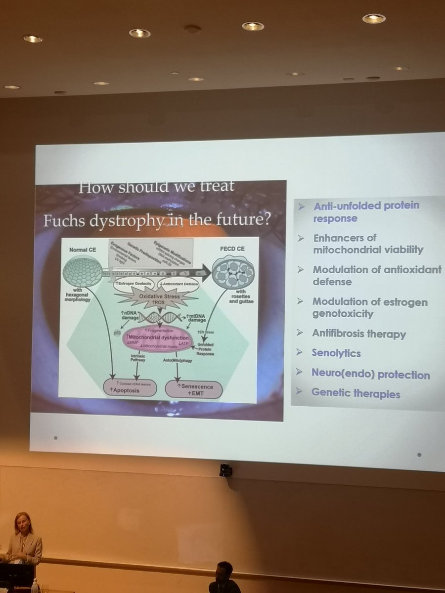 A great informative keynote lecture by Dr. Ula Jurkunas about Fuchs' endothelial corneal dystrophy, corneal #stemcell transplantation, the role of UVR-A and reactive estrogen metabolites in Fuchs' and why the disease is more common in women #Visionscience #Ophthalmology