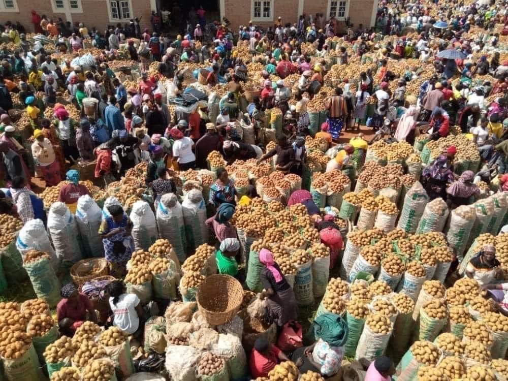 The largest Potatoes Market in Africa is located in Bokkos LGA, Plateau State, Nigeria 🇳🇬 📷 The Langtang Watch Visit #Africa