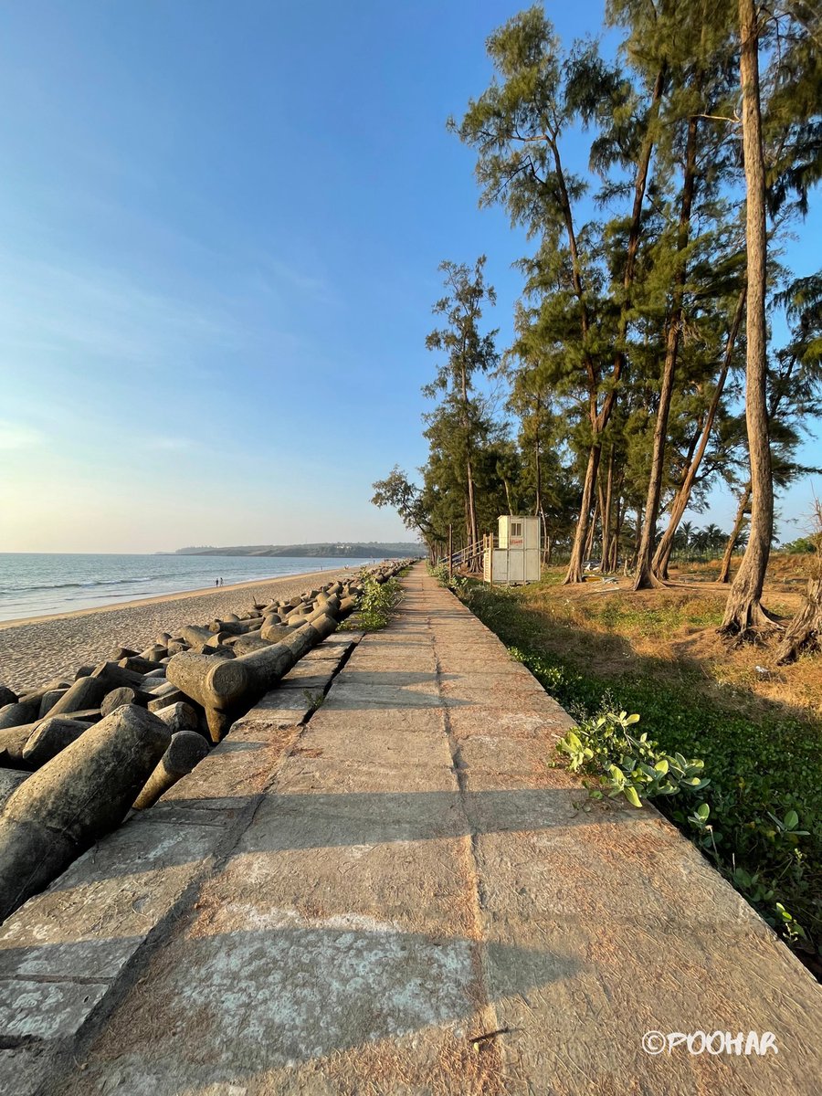 PAmonker's tweet photo. Strolling through Goan serenity: where time finds its gentle rhythm. 🌴✨ 

#exploring_goa #goabeach #beachesofgoa #throwbackthursday #beachlife #traveldiaries #goadiaries #protectourbeaches #beautifulgoa #summer #goa https://t.co/I1Rh4BlPjL