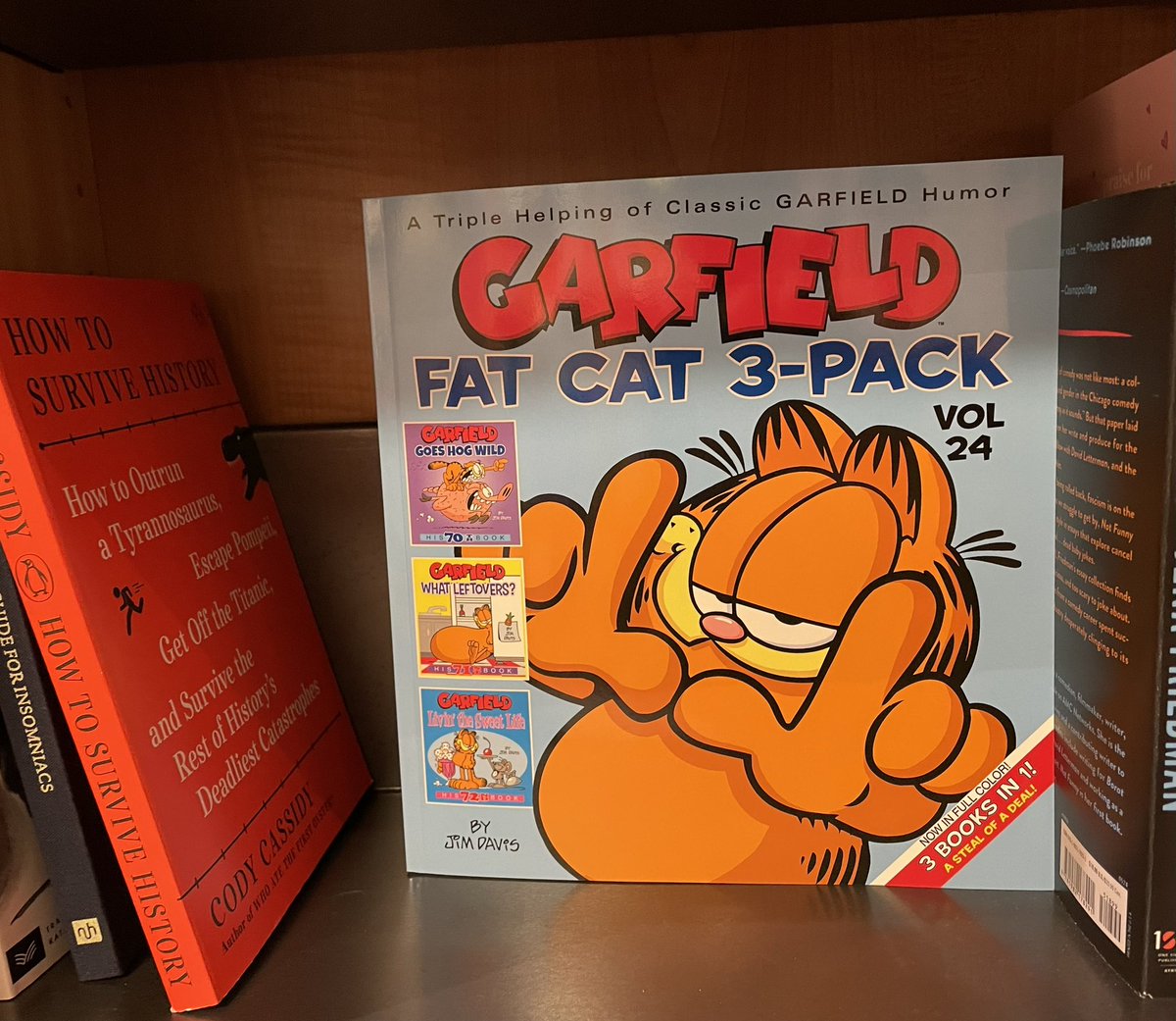 Before you watch Chris Pratt voice a cat who loves lasagna this weekend, read some classic #Garfield comics! Look for this orange feline in our humor section 🐱 #indiebookstore #comicstrips #humor