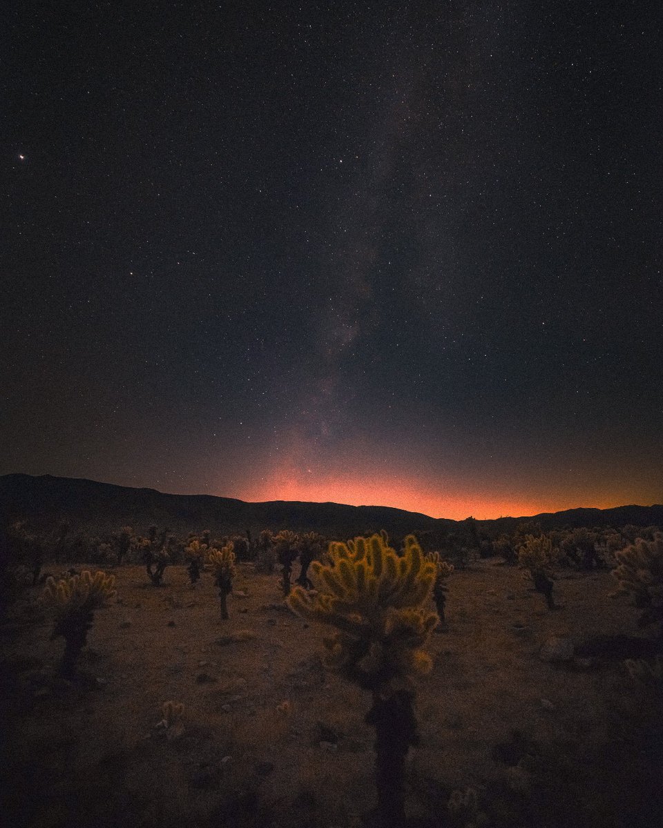 Hey—go to Joshua Tree just to go on a stargazing tour. Trust us. (And the hundreds of five bubble reviews) tripadv.sr/4bF9fy4