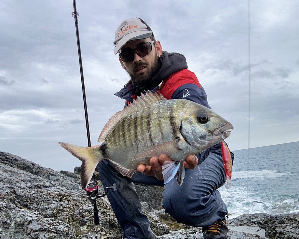 Buginu 55 per Giacomo Capresi

seaspin.com

#seaspin #utopiatackle #lures #saltwaterfishing #spinning #fishinglures #fishingtackle #fishing #bigfish #seafishing