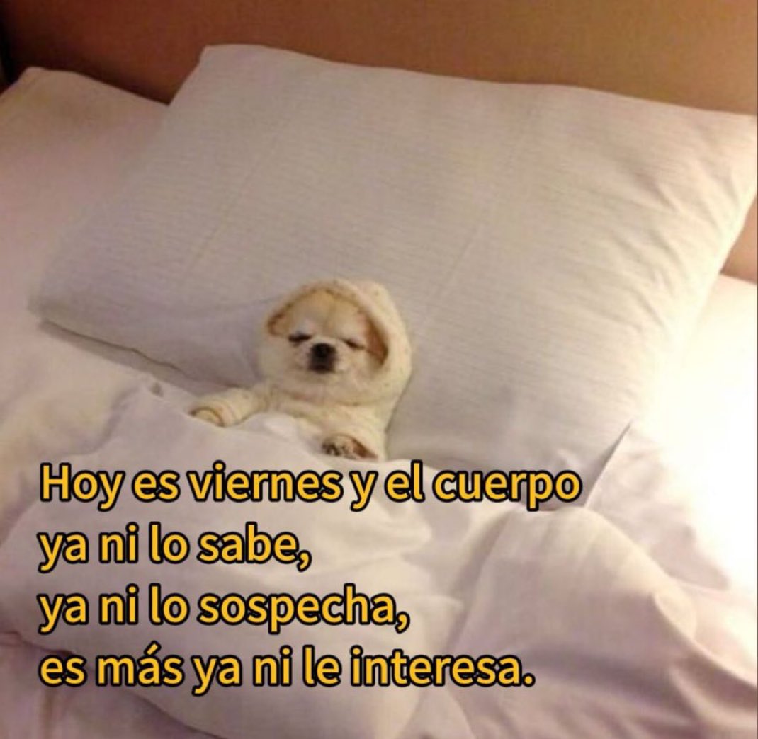 🌙 mini textos (@soyminitextos) on Twitter photo 