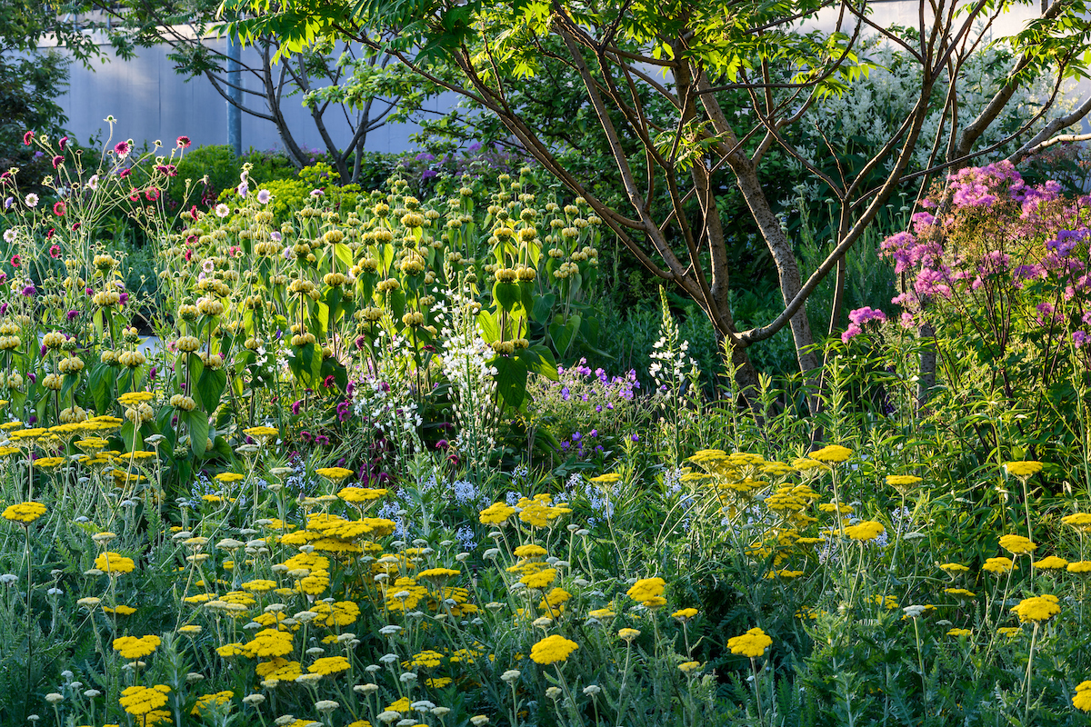 Congratulations to @tomstuartsmith – designer of The Hepworth Wakefield Garden (pictured) – and his team on winning gold this week at the RHS Chelsea Flower Show! Our garden is open daily & is free for all to enjoy. hepworthwakefield.org/whats-on/the-h… 📸 @jasonphotos