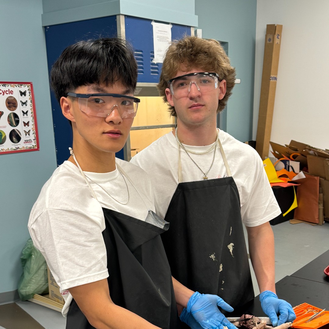 Science at Work! AP Chemistry 12 students completing a lab to determine the solubility constant and how temperature and concentration impact solubility... while Bio 12 anatomy and physiology stalwarts Andrew and Josh work on dissection #science #choosetobe #biology #chemistry