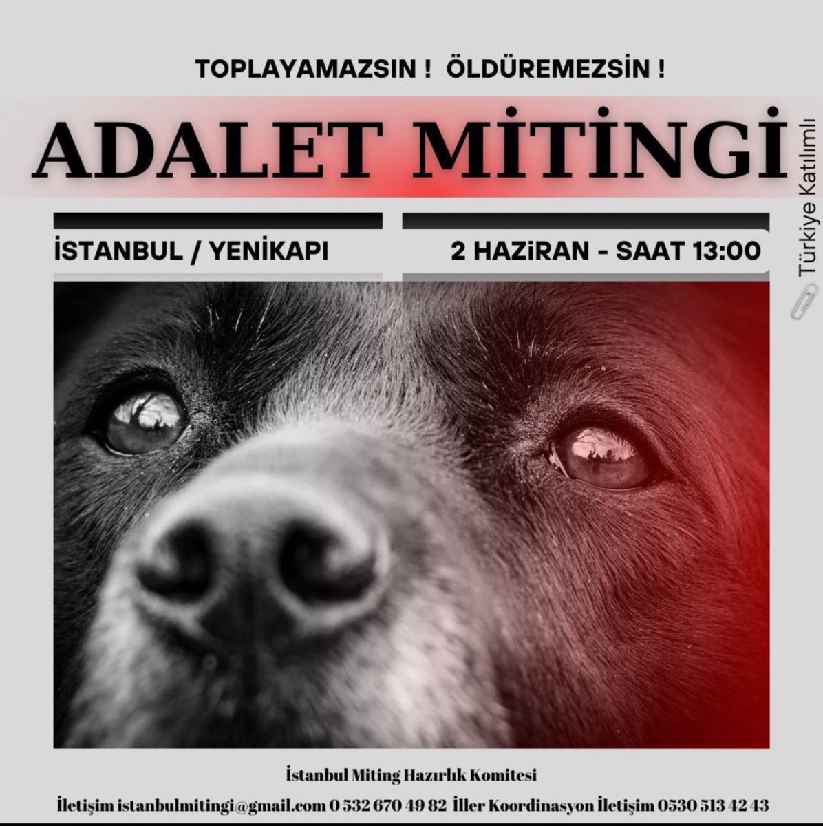 Pelin tweet media
