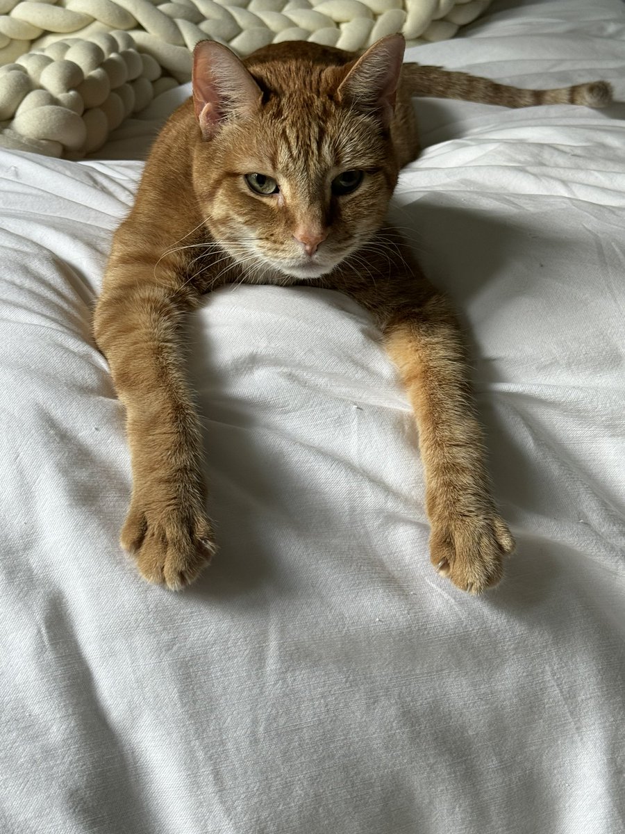 Tough life but someone has to live it