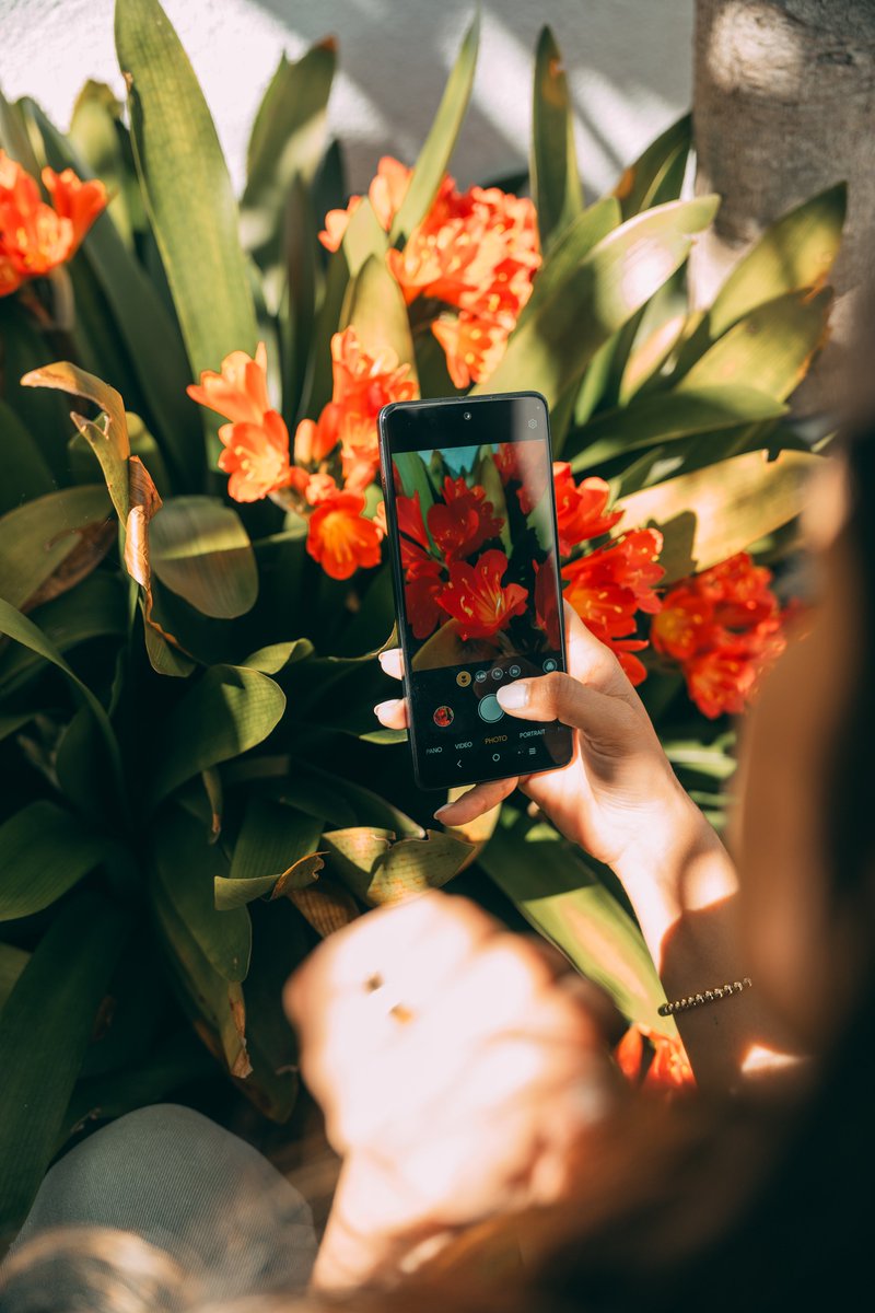 Capture everyday moments in hi-res with the TCL 50 XL 5G smartphone 📷