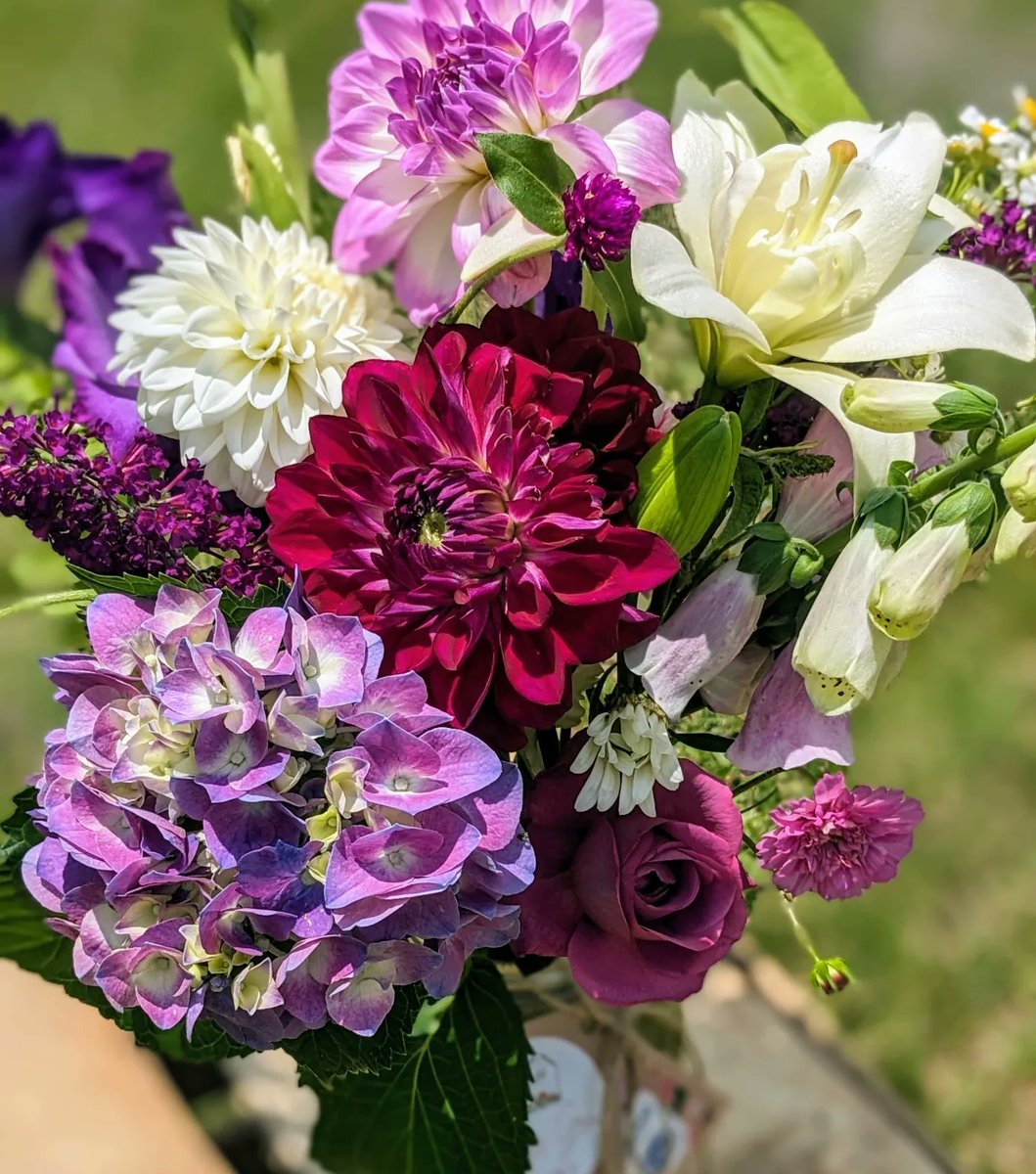 So many unique beauties! School colors... 🧡 💙 🎓
Year ✌️ is looking gorgeous! We have one available for pick-up! 😍💐
.
.
.
.
#blessingsgrow #bloomstoshare #givingGodtheglory #metterblooms #graduationflowers #locallygrown #growingwithpurpose #somanyflowers #thankful