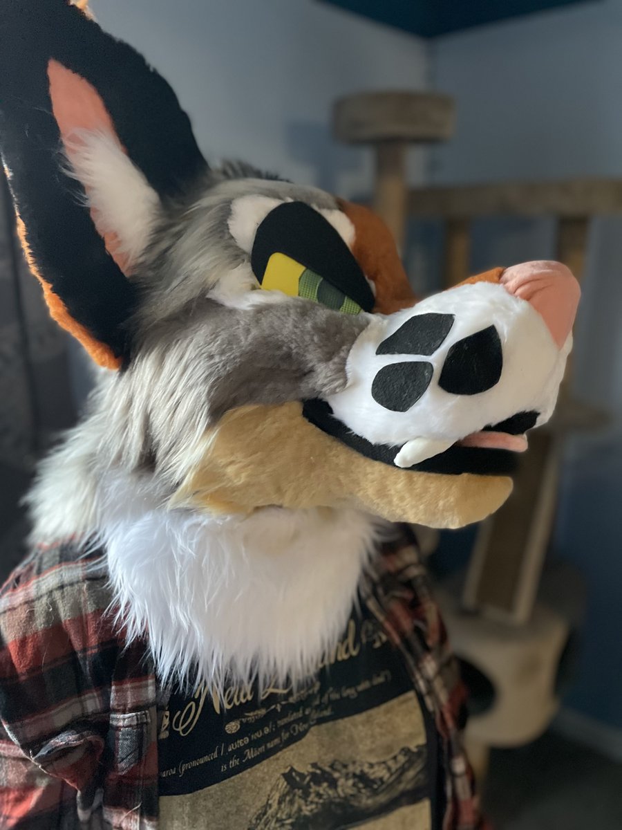 aspenmosscreate's tweet image. 🛸CUSTOM FURSUIT HEAD RAFFLE🛸
🌲RT/Follow/comment for a chance to win!🌲

👾post ref below, follow and retweet this tweet
👾 any species!
👾 winner announced JULY 9TH, 2024🌟
👾 est. completion Jan. 2025
👾 winner responsible for shipping costs!

GOOD LUCK! 👽