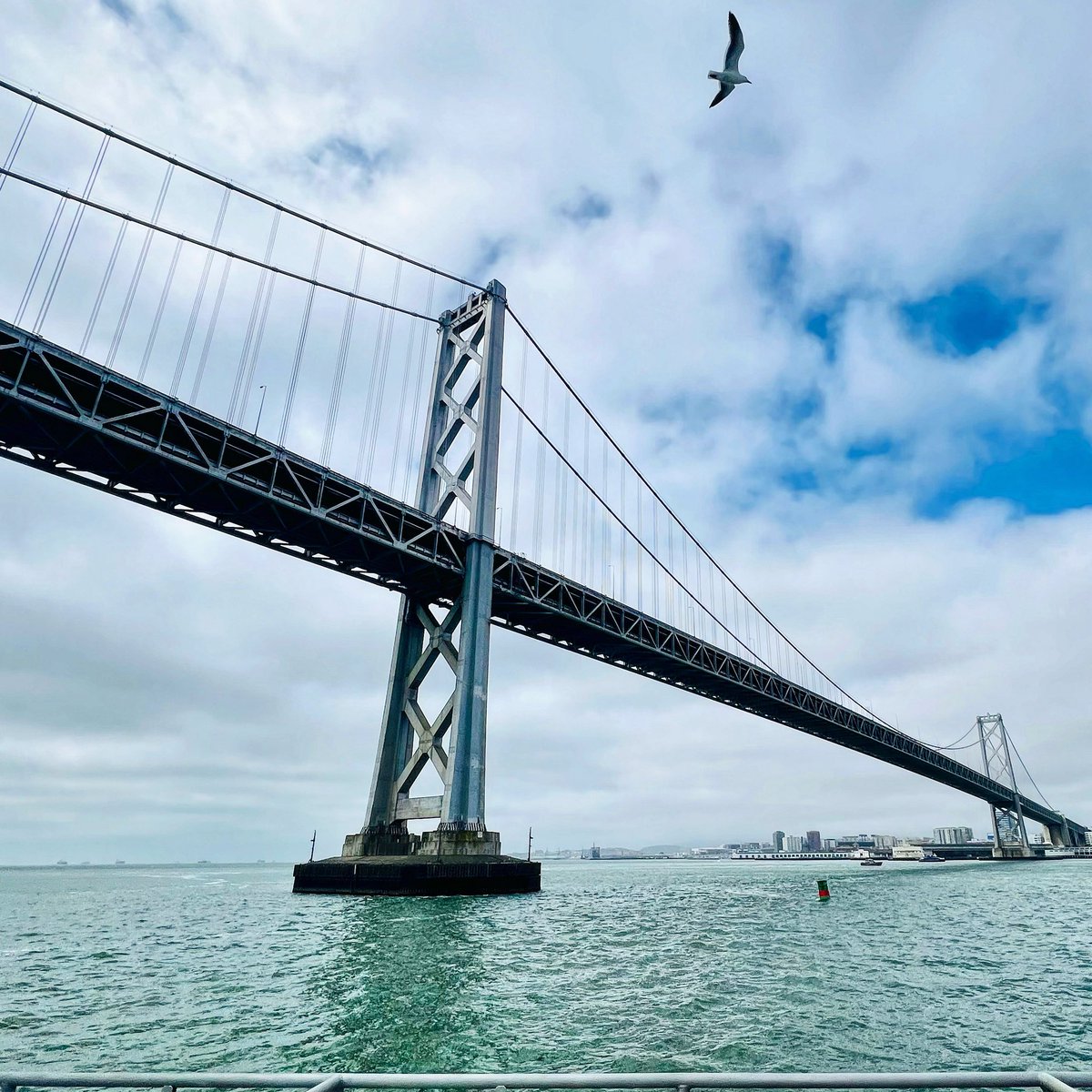 Enjoying a ferry view on this Friday morning! ⛴️