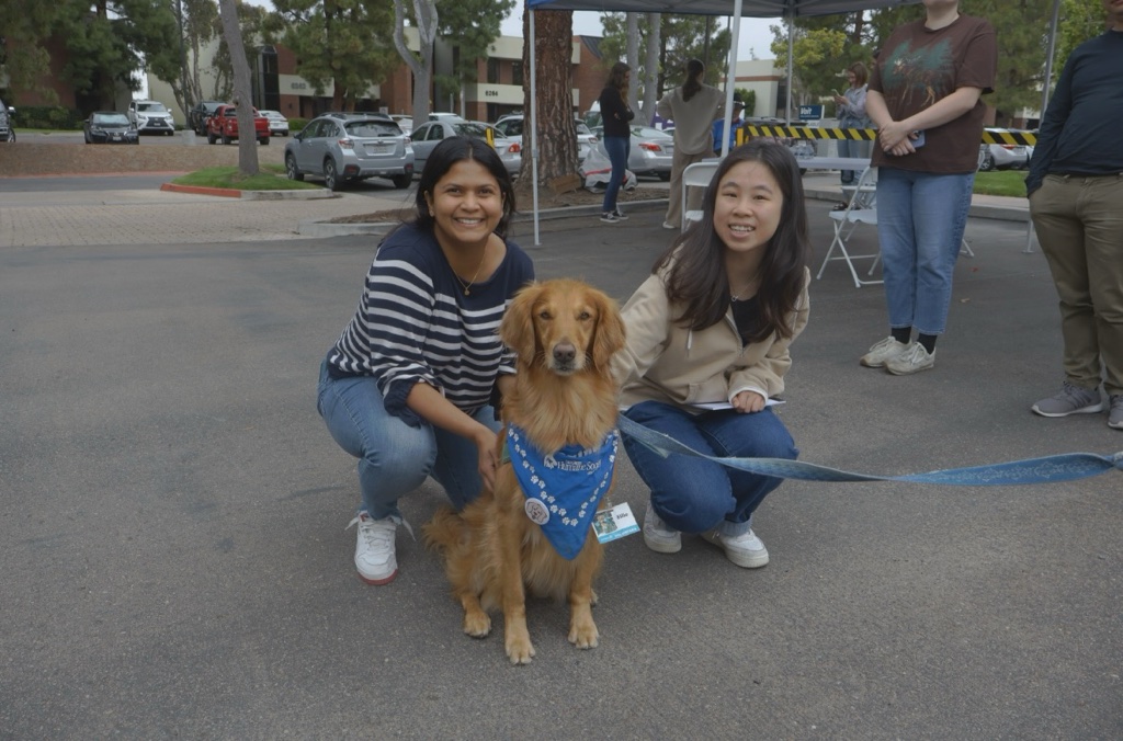 We had an amazing time with the <a href="/sdhumane/">San Diego Humane Society</a> Canine Ambassadors yesterday! Our team at Wildcat loved taking a break, stepping outside, and recharging with these adorable dogs. 

Thank you to everyone who joined us for a paws-itively wonderful experience! 🐾