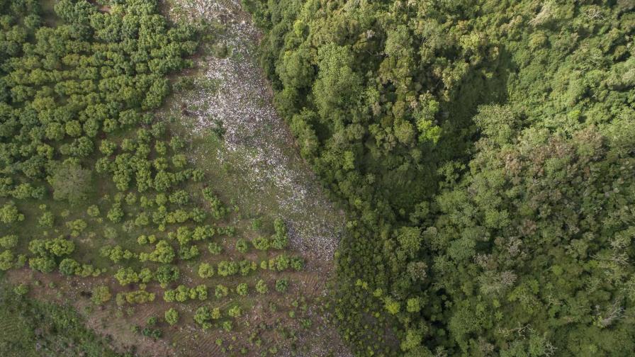 Áreas protegidas: una deuda de cuatro años del PRM dlvr.it/T7M52j