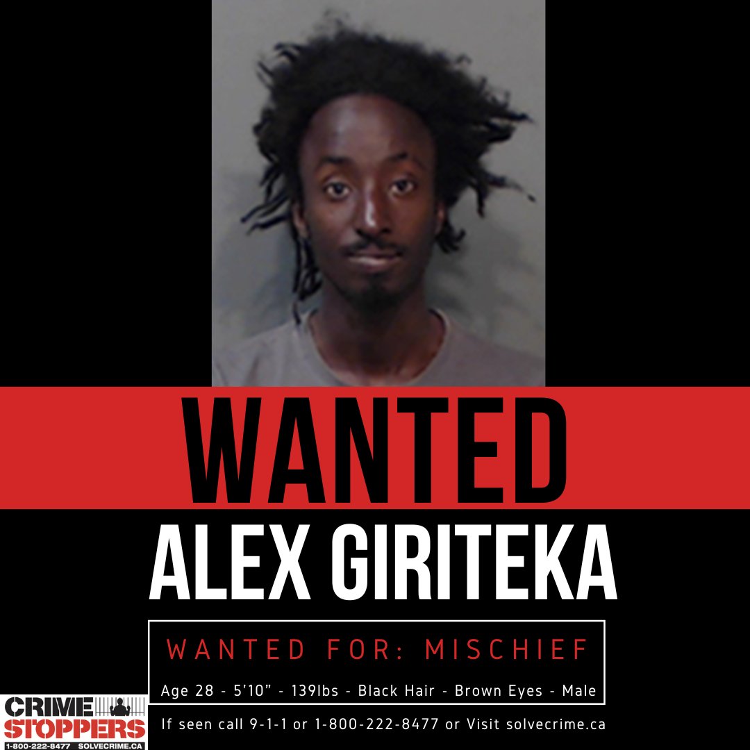 Know the whereabouts of Alex GIRITEKA? Have information on where GIRITEKA will be next? He is #wanted for mischief. Call Crime Stoppers at 1-800-222-8477. Visit Solvecrime.ca. Download the P3 Tips App. #crimestoppers #wanted #seesomething #saysomething #truecrime