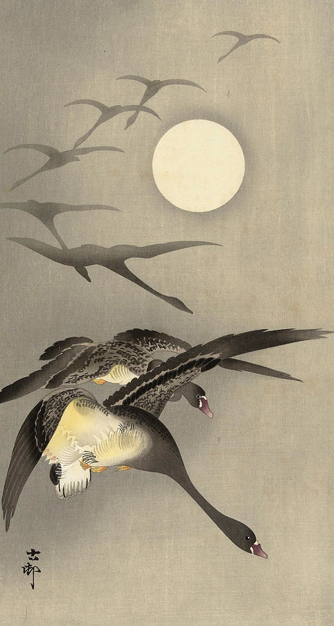 Geese at full moon, 1945 by Ohara Koson