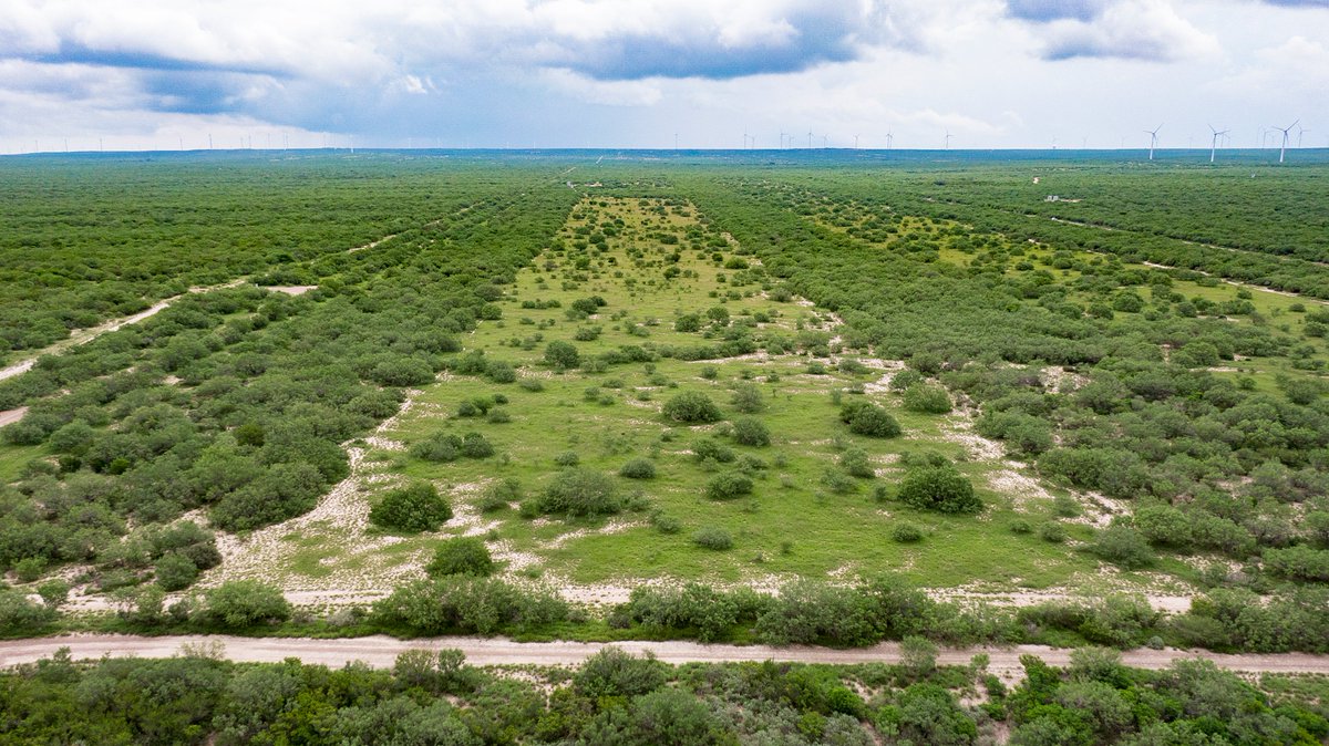 Reiser Creek Ranch is a #beautiful 700± acre South Texas hunting ranch located 26 miles from Laredo, in Webb County. There is a small pond on the #property with over a mile of wet-weather creeks and tributaries that traverse the center of the ranch. ⇢ bit.ly/ReiserCreek