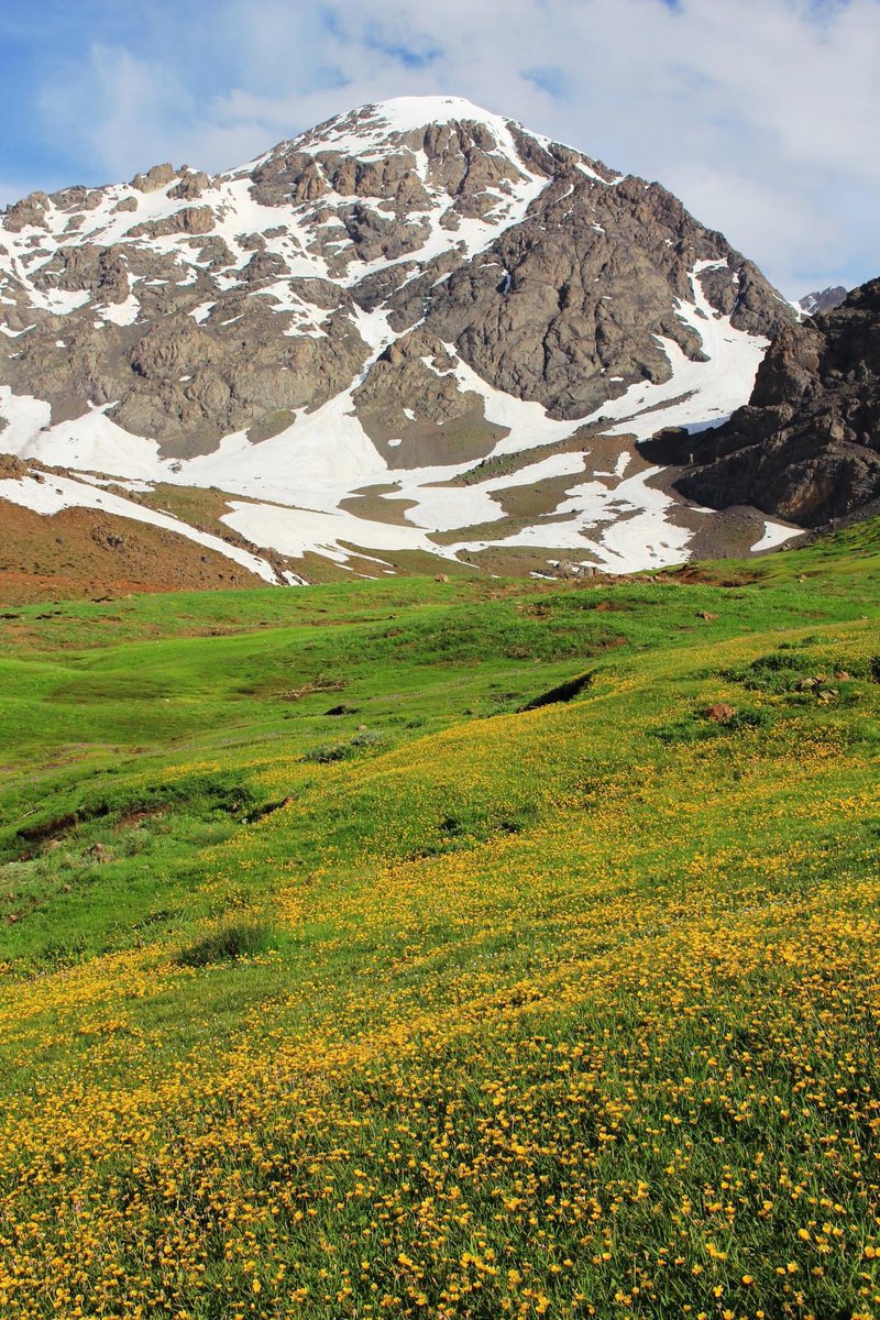 Davari_Barzan's tweet photo. #kurdistan 
#Halgurd https://t.co/3p8kT6qKKU
